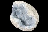 Blue Celestine (Celestite) Crystal Geode - Madagascar #87131-2